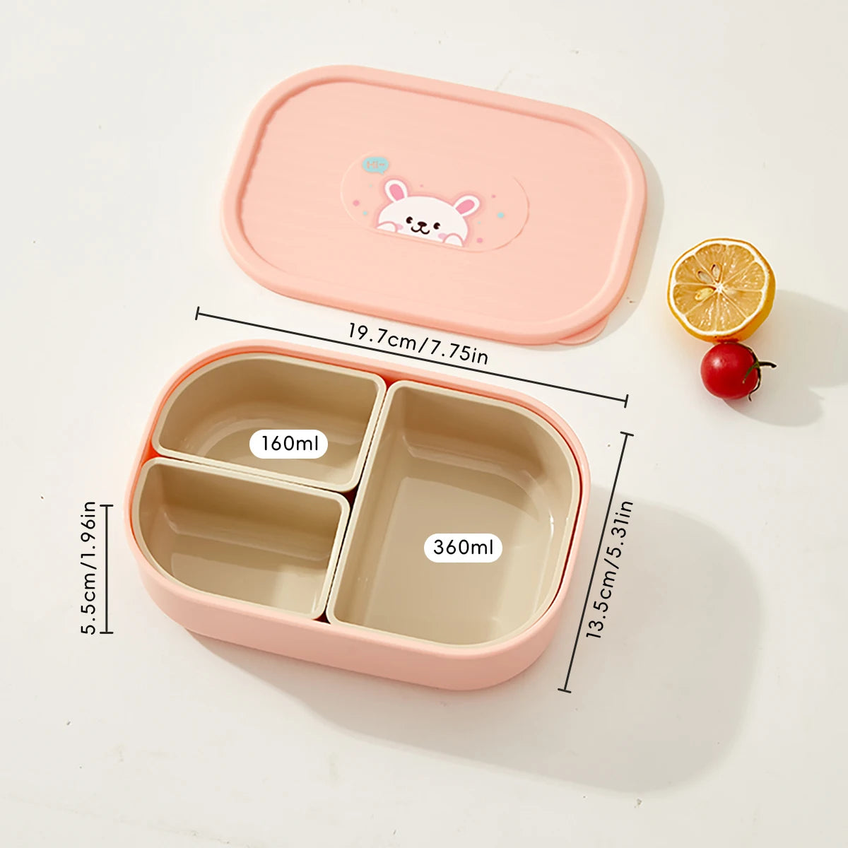 modèle de bento en plastique respectueux de l'environnement