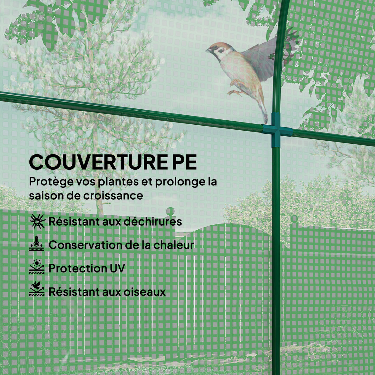 Serre de Jardin Tunnel 180 x 180 x 200 cm – Acier ; Bâche PE, Porte et Fenêtre Enroulables