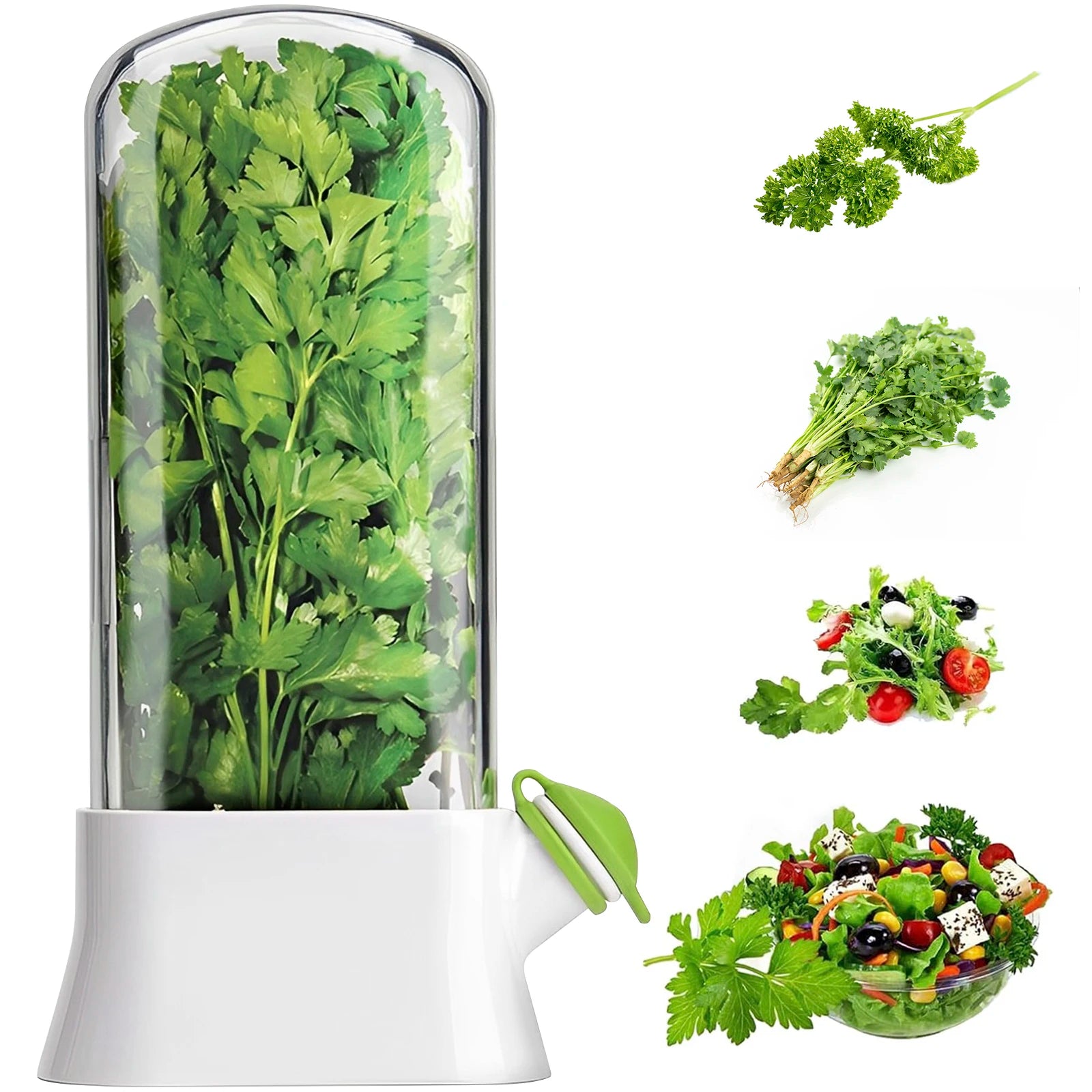 Pot de Conservation Herbes Fraîches 500ml pour Réfrigérateur