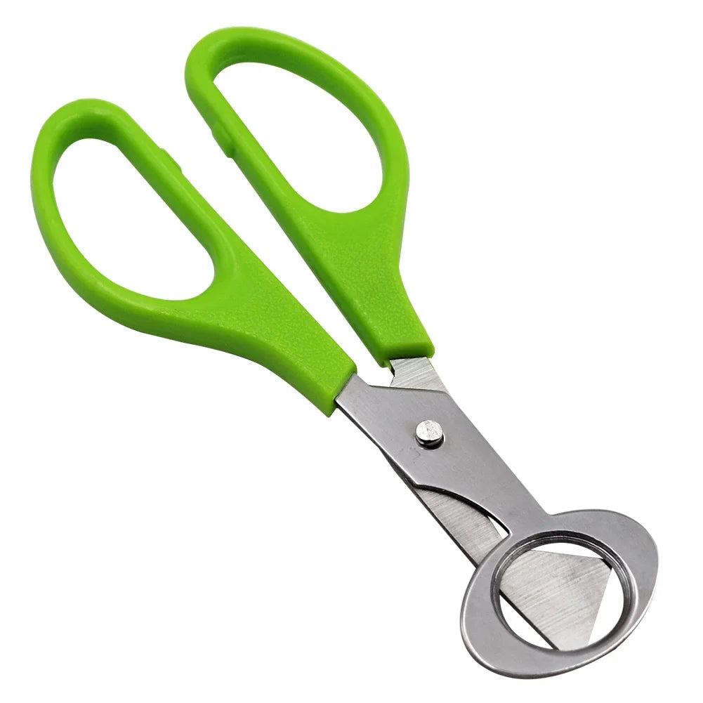 ciseaux en inox pour couper les œufs de caille
