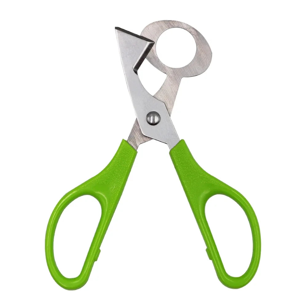 ciseaux de découpe pour œufs en acier