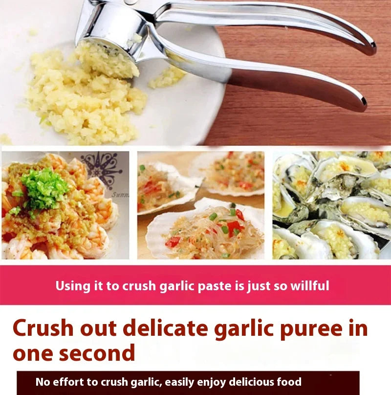 écraseur d'ail en inox robuste
