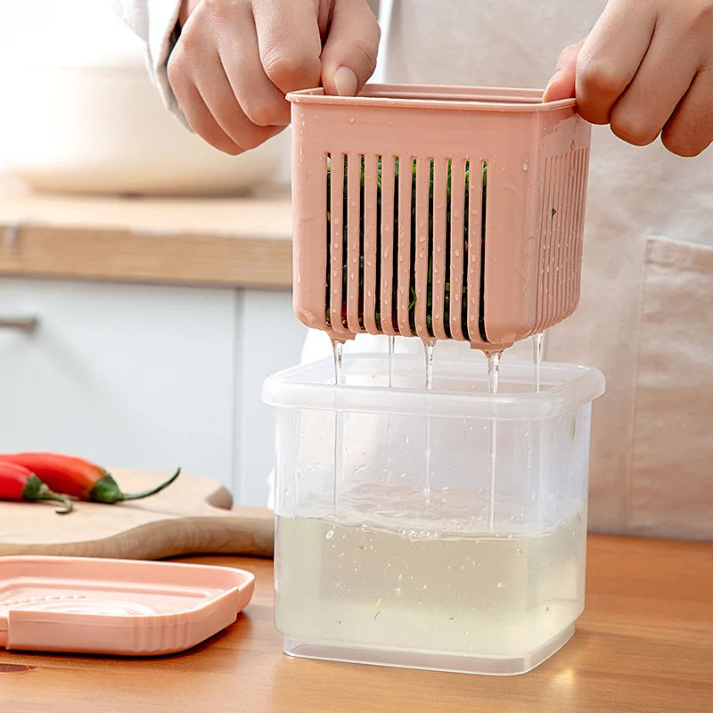 conteneur hermétique de frigo pour aliments