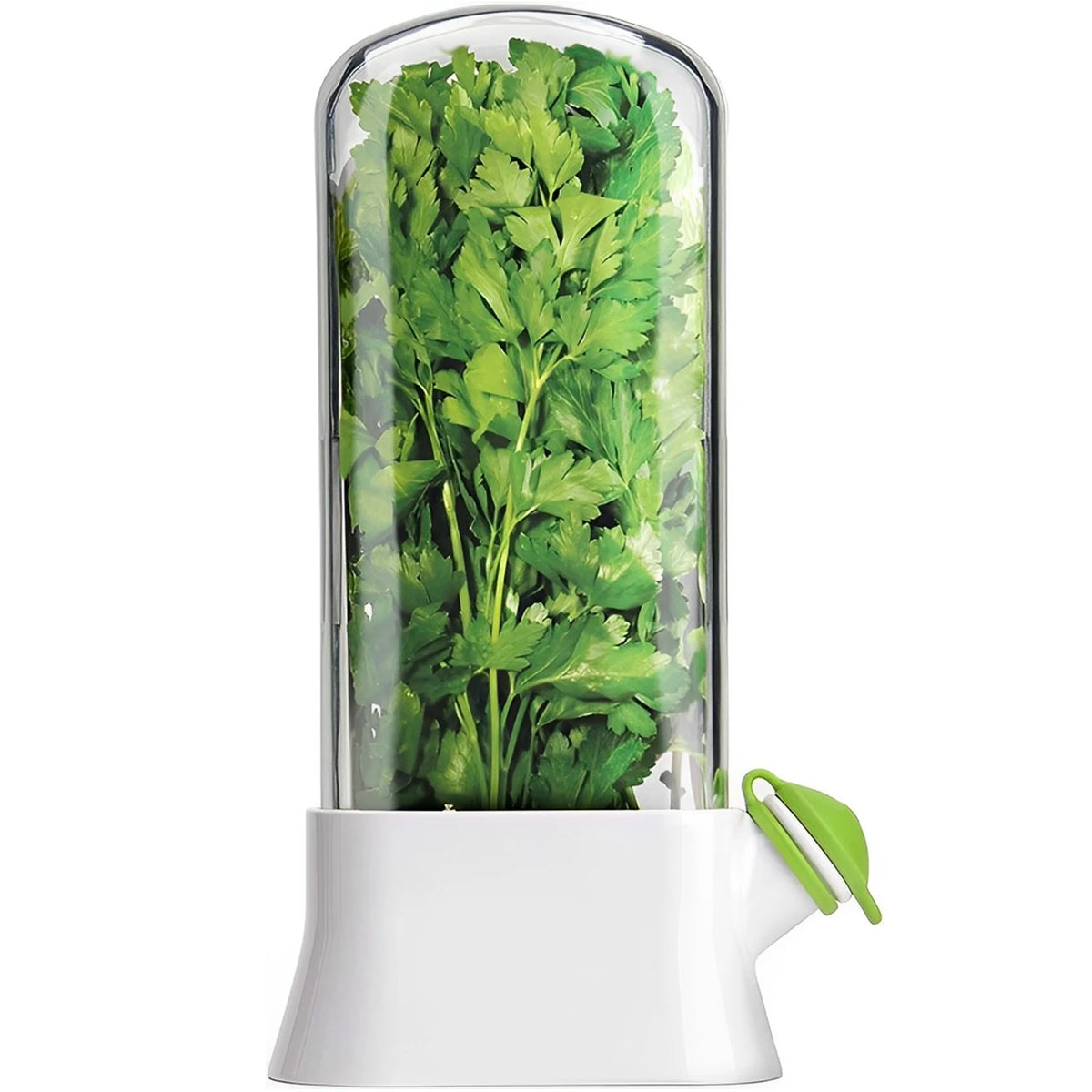récipient pour le stockage des herbes