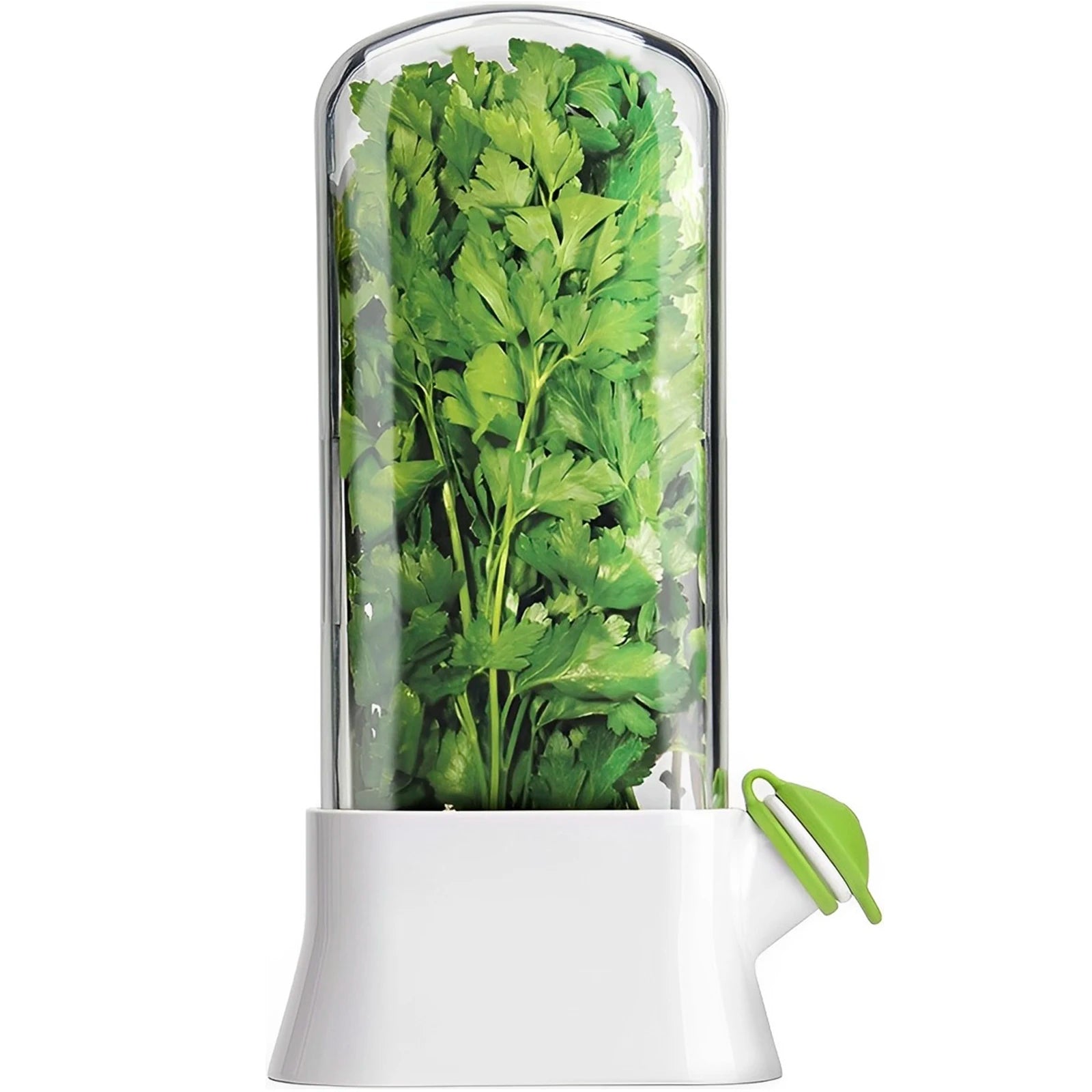 récipient pour le stockage des herbes