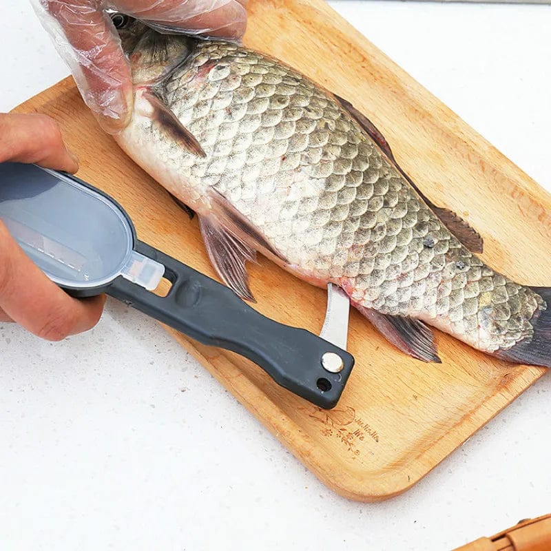 Brosse à Écailler le Poisson