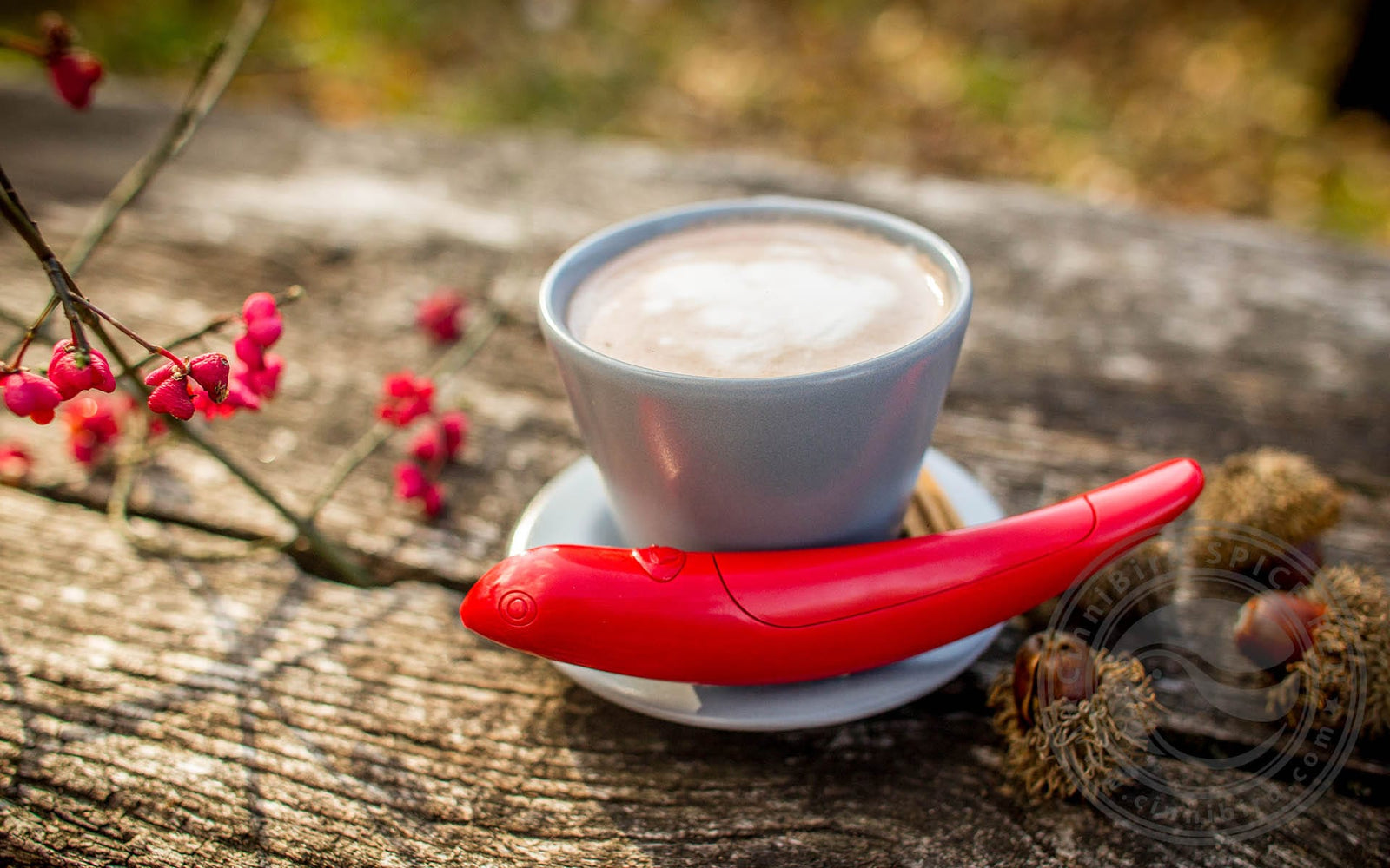 Coffee Pen pour décorer votre café