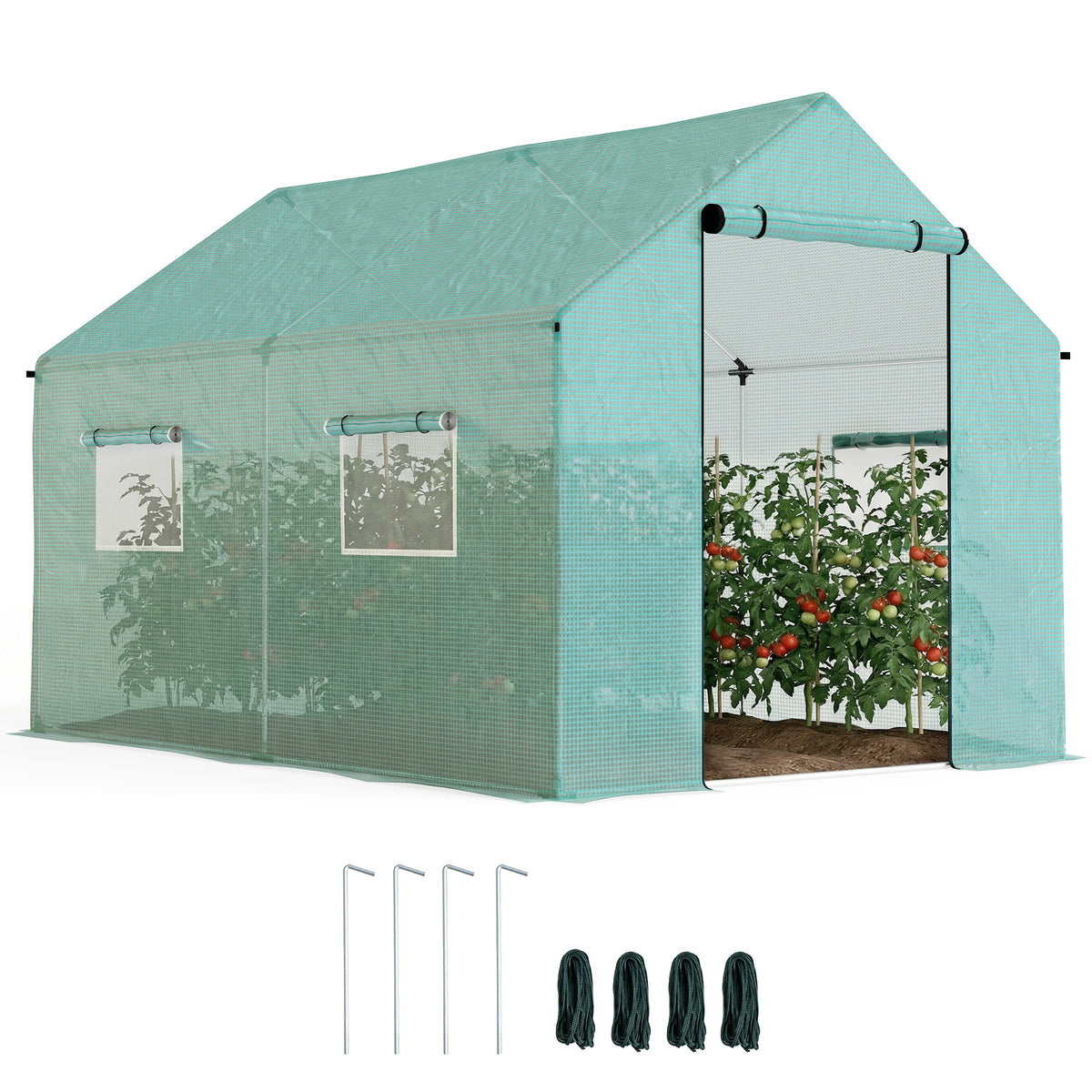 Serre de Jardin Tunnel 6 m² (2 × 3 m) — Bâche PE Anti-UV, 4 Fenêtres, Porte Enroulable, Armature Acier Galvanisé