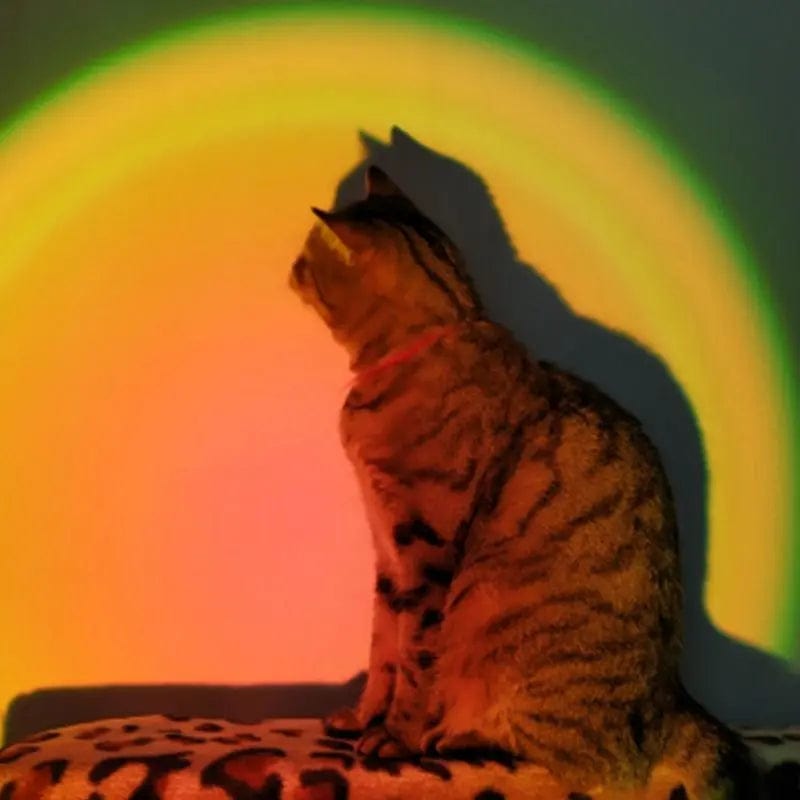 Lampe "Coucher de Soleil" controlable à distance (par télécommande et smartphone)