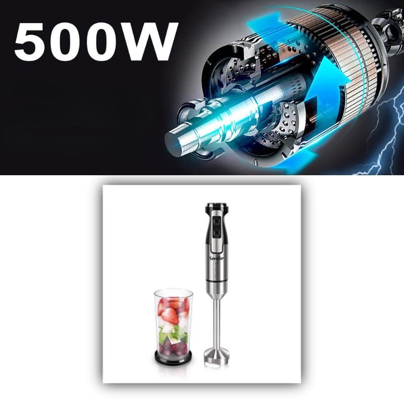 Mixeur Plongeant Professionnel (500W)