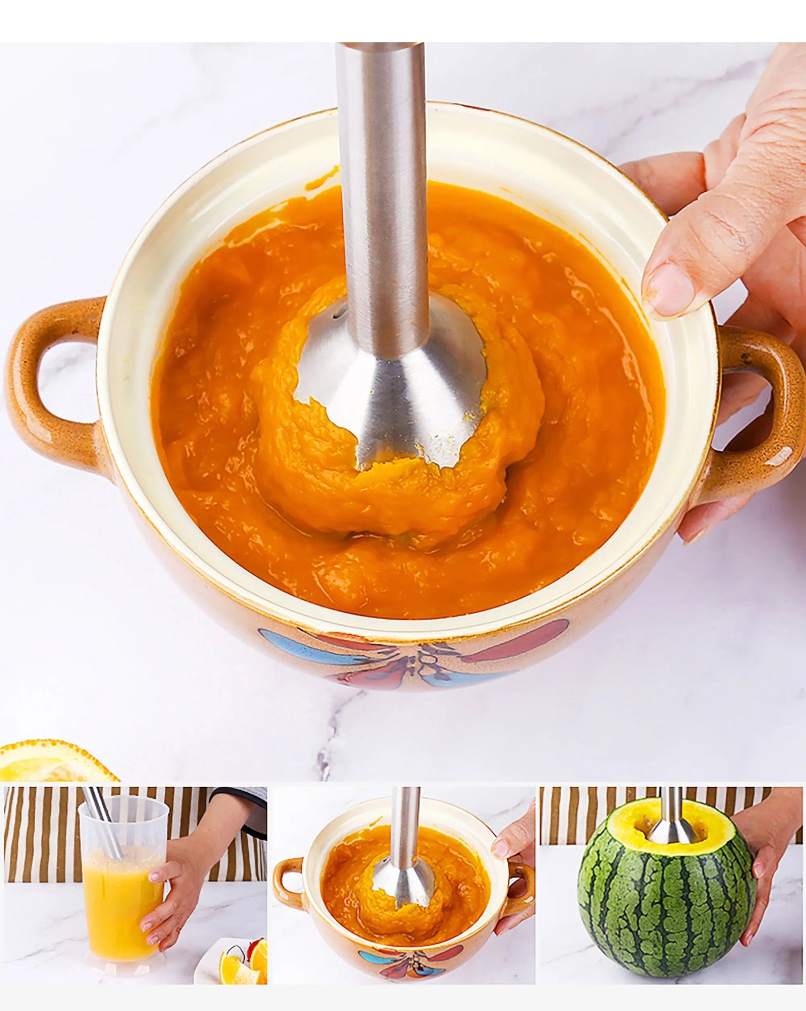 Mixeur Plongeant Professionnel (500W)