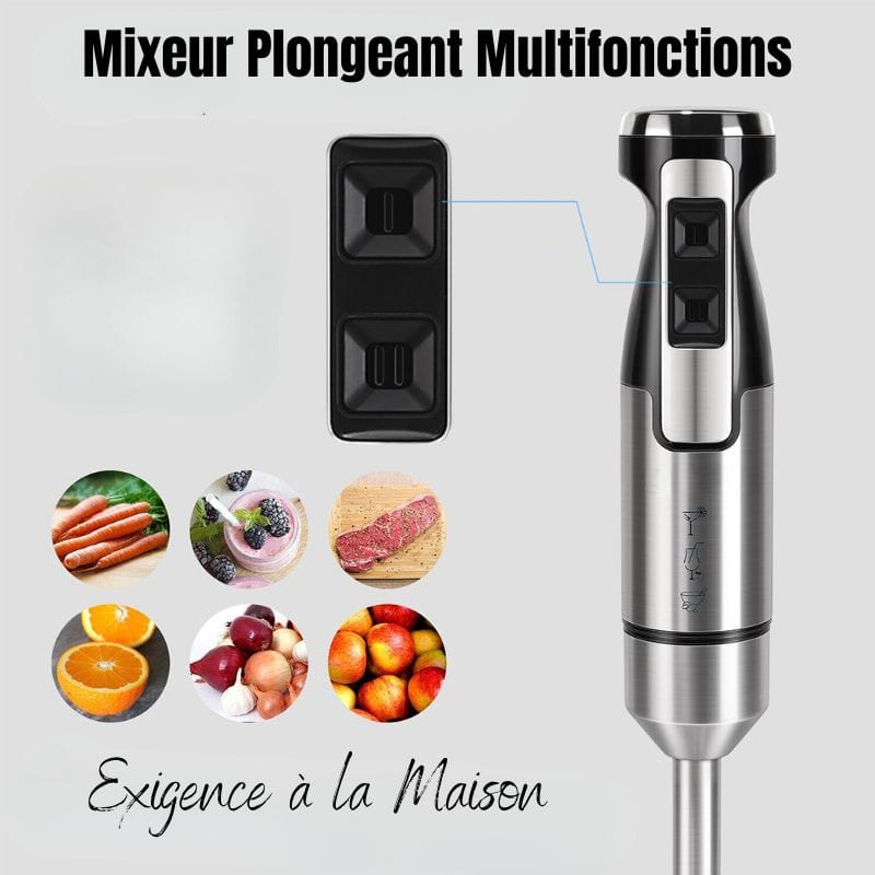 Mixeur Plongeant Professionnel (500W)