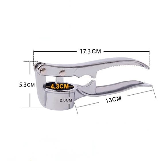 Presse-Ail en Acier Inoxydable