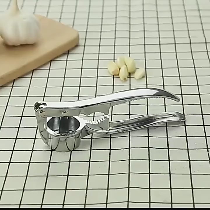 Presse-Ail en Acier Inoxydable