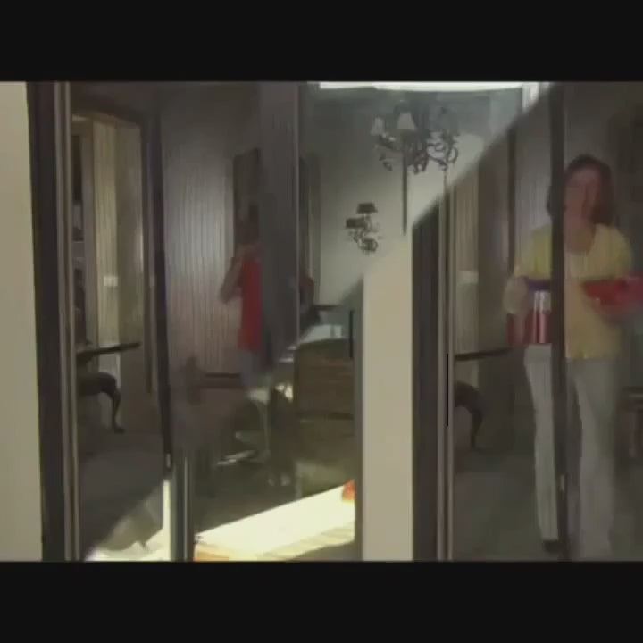 Moustiquaire Aimantée pour Portes et Entrées : Fermeture Automatique