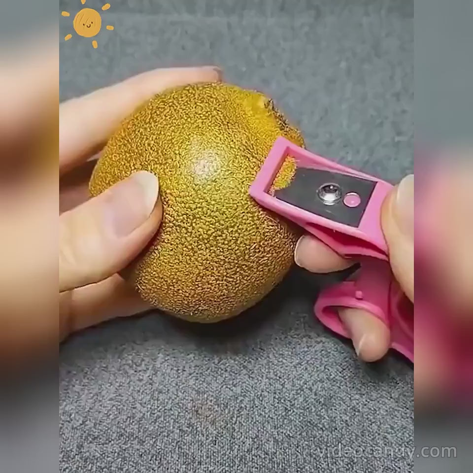 Eplucheur de Fruits et Légumes en Acier Inoxydable